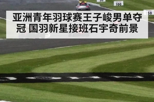 亚洲青年羽球赛王子峻男单夺冠 国羽新星接班石宇奇前景